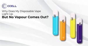 Why a Disposable Vape Lights Up but No Vapour Comes Out