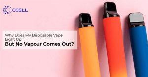 Why a Disposable Vape Lights Up but No Vapour Comes Out