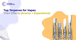 Top Terpenes for Vape Oils & Their Effects (Aroma + Experience)