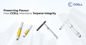 Preserving Flavour: How CCELL Maintains Terpene Integrity